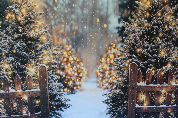 Themed Backdrops Themed Backdrops