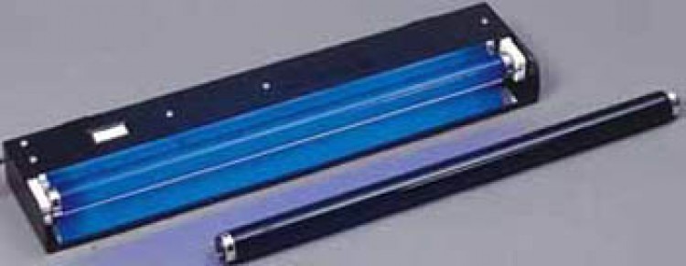 Black Lights Black Lights
